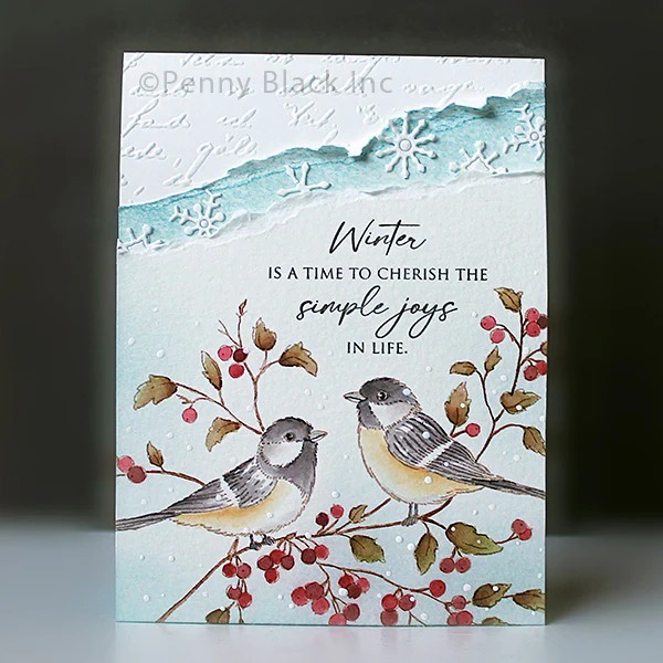 Ciche Urody - przezroczyste st – Clear Silicone Stamps For Card Making recenzja i cena