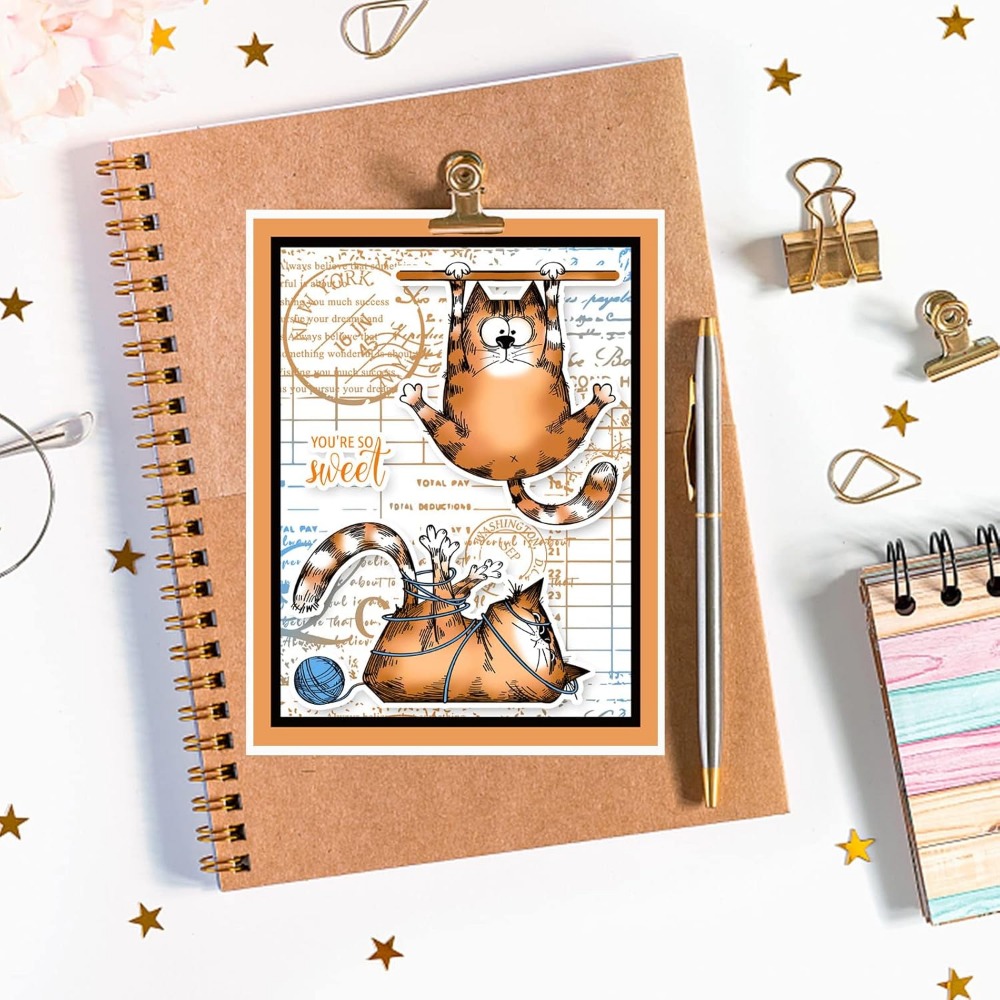 8.3x5.8in Cat Clear Stamps Lov – Clear Silicone Stamps For Card Making recenzja i cena